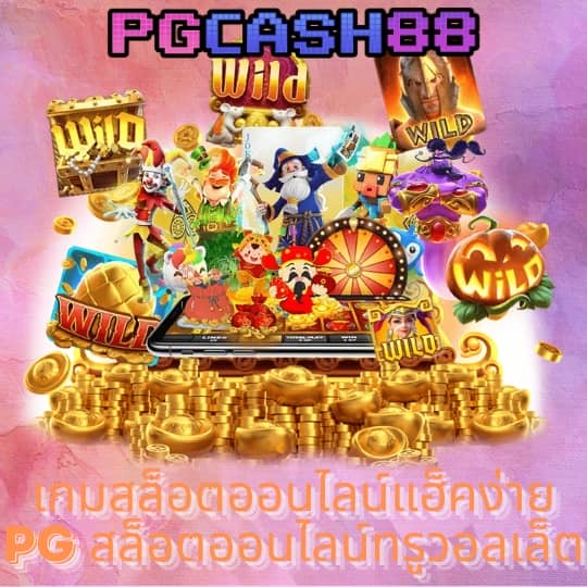 popza24k